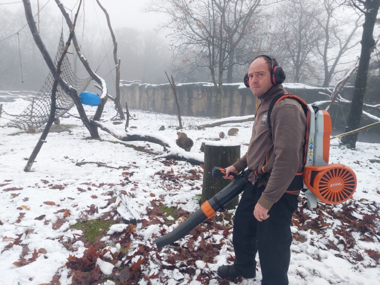 Marc Beenakkers met de Stihl BGA 300 op het terrein van de berberapen.
