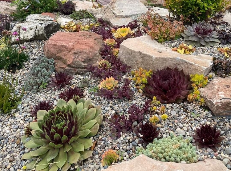 Groots, groter, grootst met de Chick Charms GIANTS.