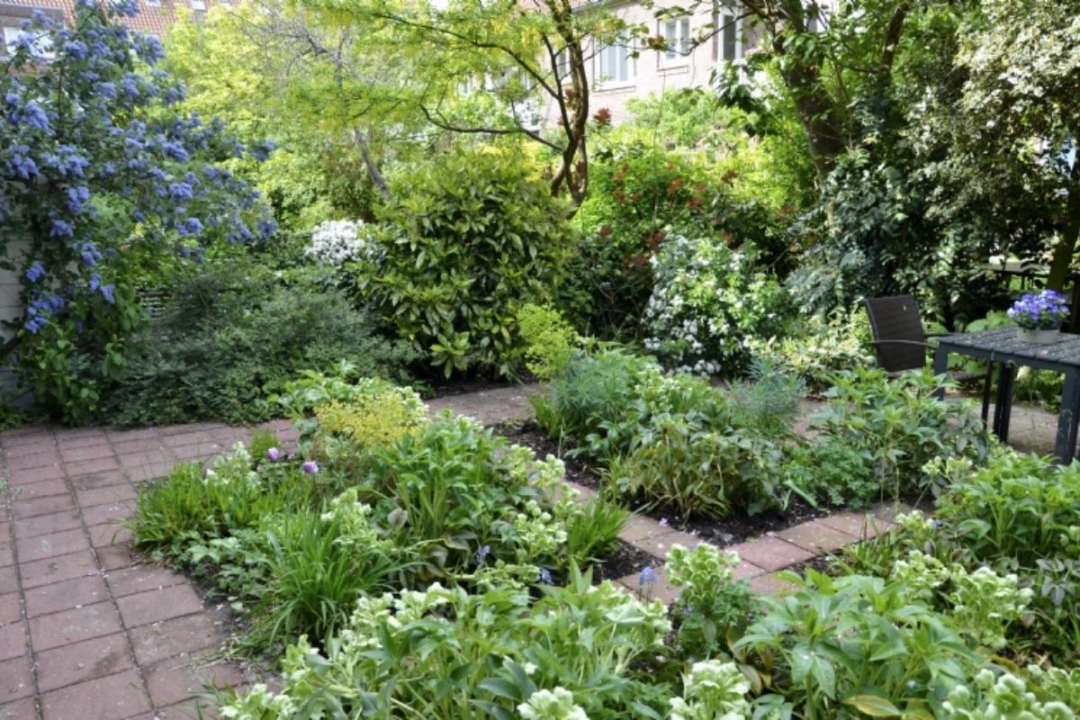 Scheldetuin Amsterdamse schaduwtuin zónder schuttingen met privacy