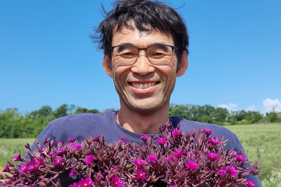 Veredelaar Koichiro Nishikawa met de prijswinnende Delosperma Desert Dancers Purple