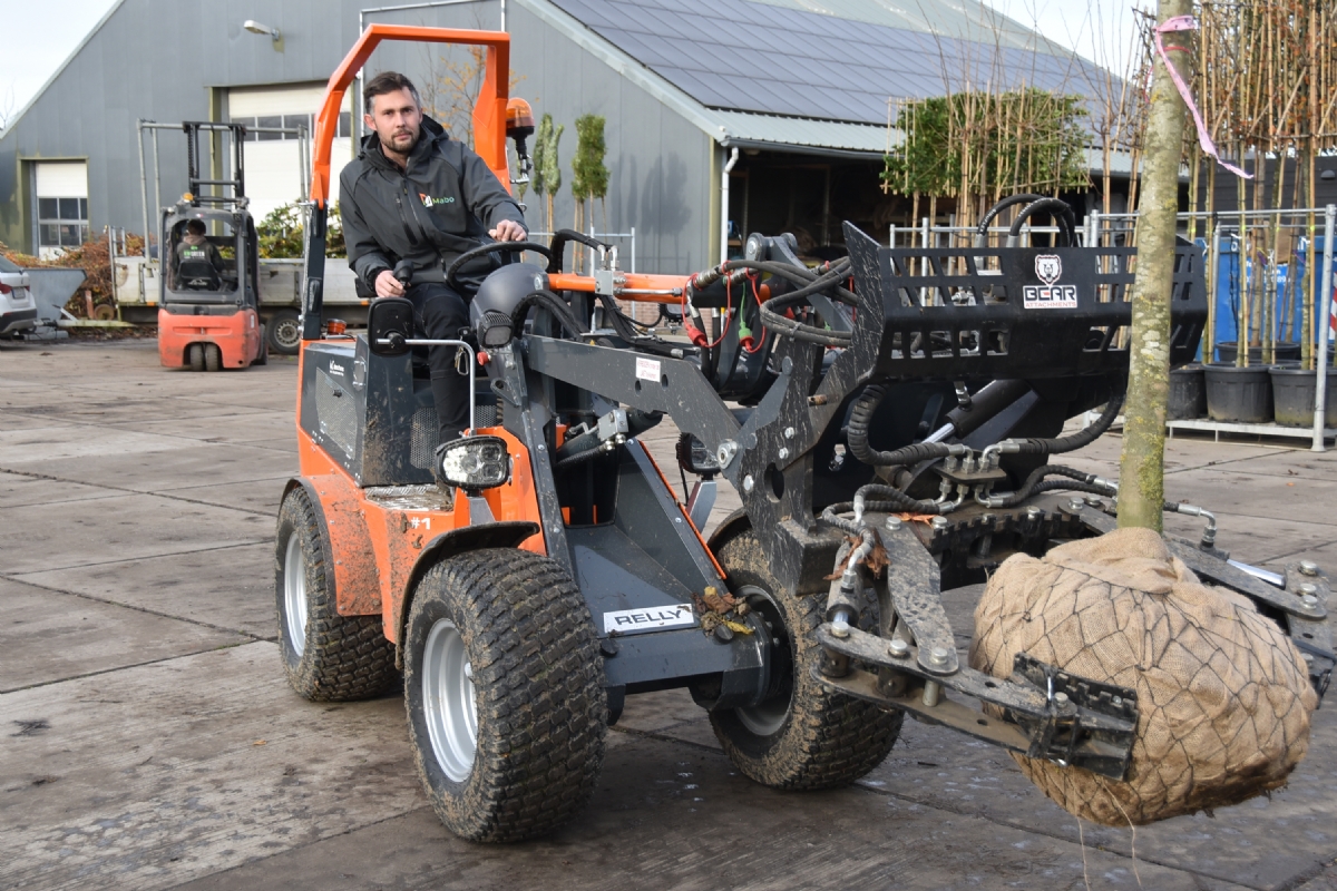 Verladen van bomen, pallets en containers een fluitje van een cent bij Mabo