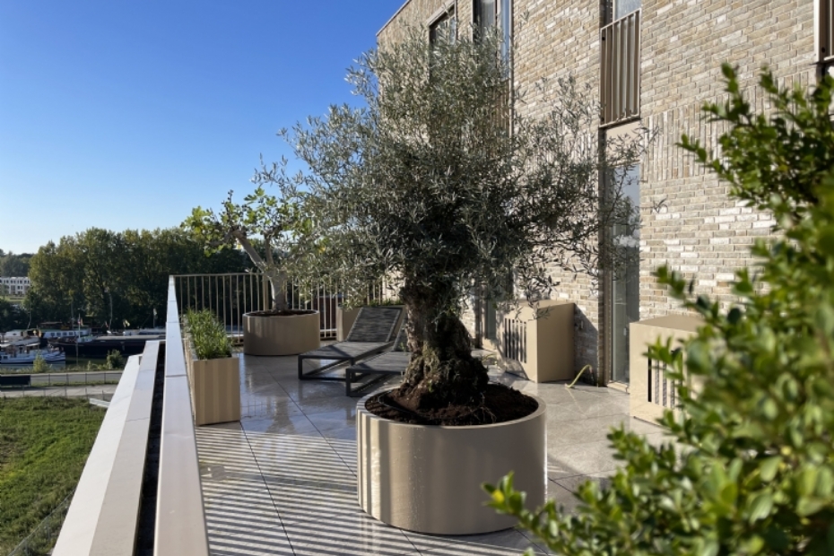 Eindresultaat dakterras. Foto H. Visser Hoveniers – Erwin van Heteren