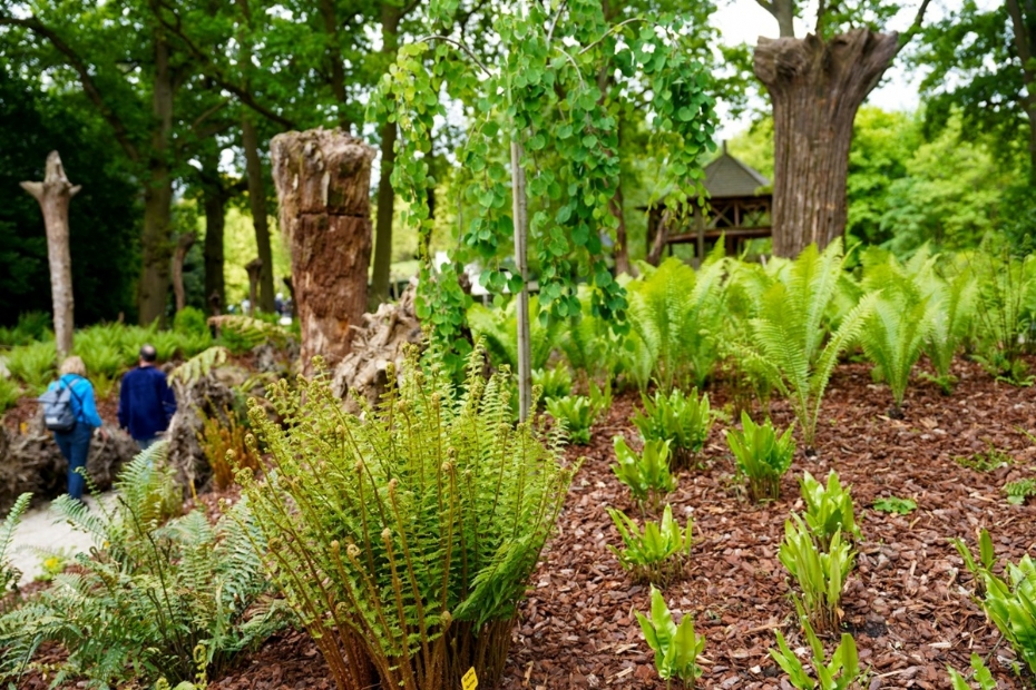 Beeld: Kasteeltuinen Arcen