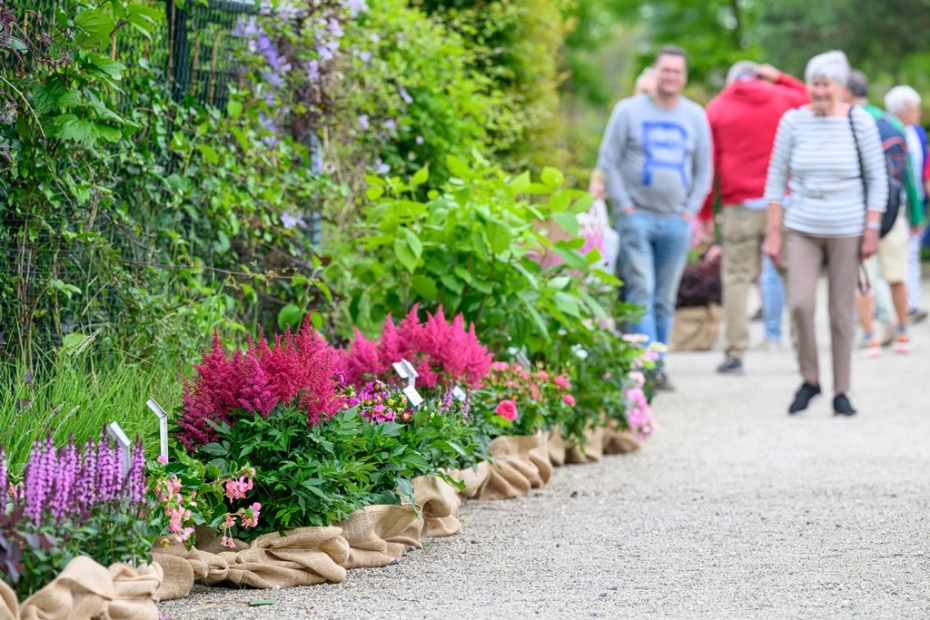 Archieffoto 2024 van het Plantenfestijn