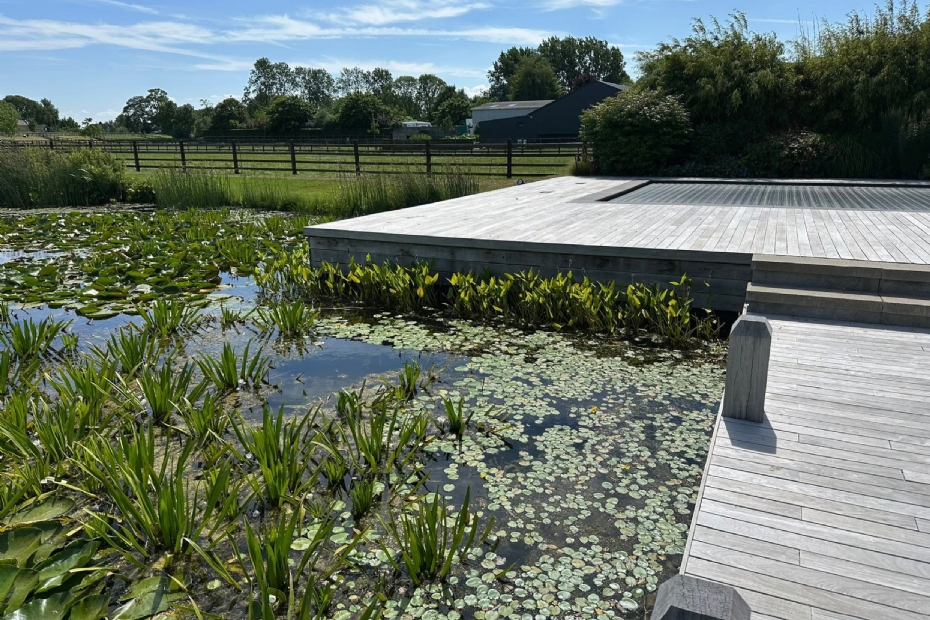 De Waterplantspecialist.