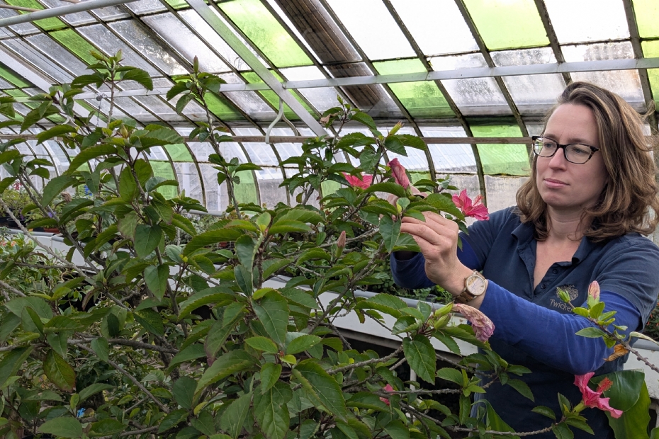 Mirthe de Haas verruilde een klas vol leerlingen voor een kas vol planten.