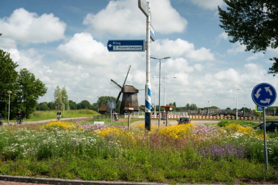 Living Landscape in Alkmaar, rotonde Zeswielen, foto 15 juni 2025