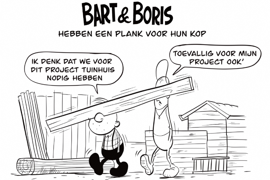 Bart & Boris Hebben een plank voor hun kop