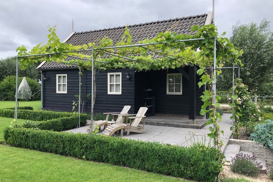 Pergola met druivenranken