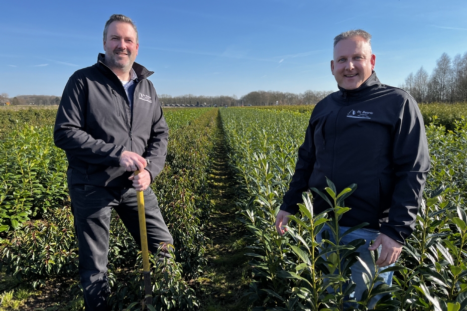 Henry Nooteboom (l) en Benno Nieuwenhuis van De Buurte tussen de haagplanten.