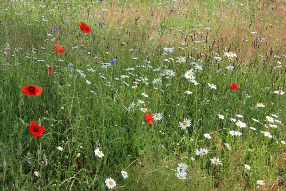 Project Natuurhuisje - Jos van den Akker