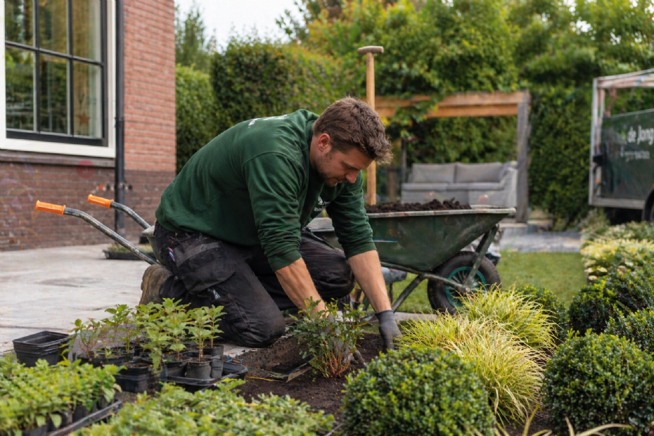 Afbeelding gemaakt met behulp van AI.