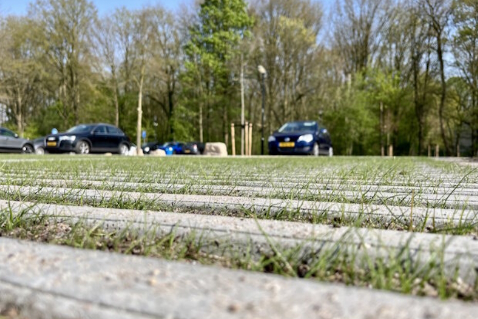 Bij Plasmolen werd EUROGRASS MaaiMinder gebruikt voor groen parkeren (Beeld via: DSV zaden)