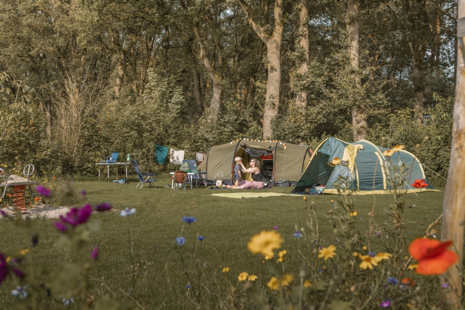 Eigenaar Joost Ellenbroek: 'We dachten altijd: we hebben een camping in de natuur. Maar het moest zijn: we hebben natuur waar een camping in ligt.' Bron: Rob Baas.