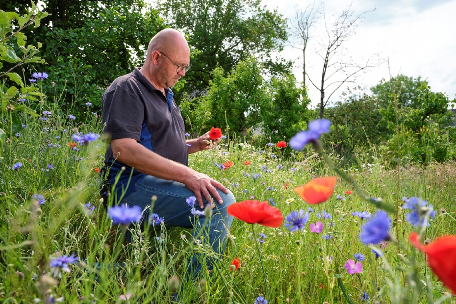 Groenspecialist Job Steunenberg van Advanta Seeds