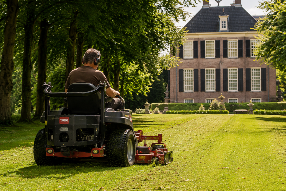 Afbeelding gemaakt met behulp van AI.