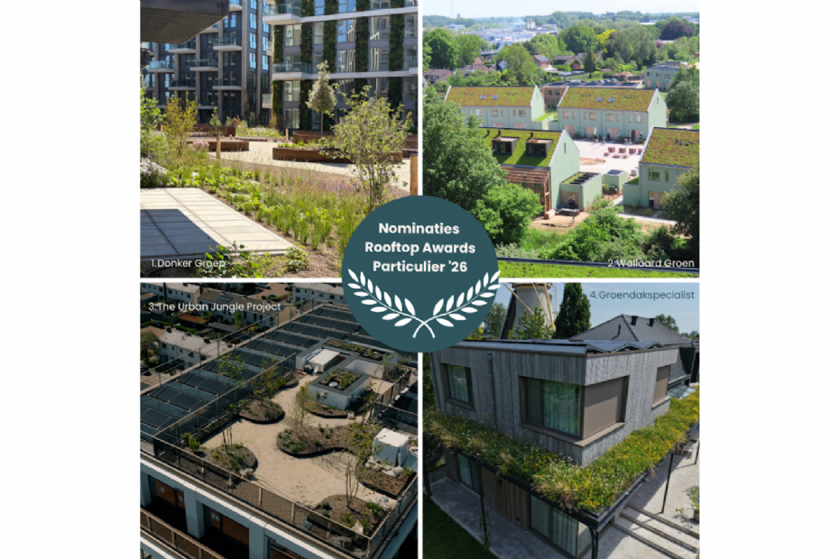 Beeld via: Rooftop Awards 2026